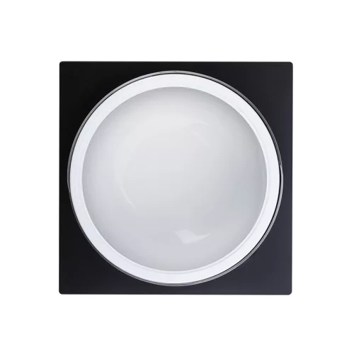 Gel - Basic Clear Gel 50g